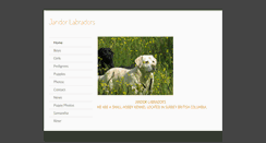 Desktop Screenshot of jandorlabradors.com